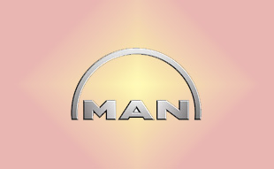 ✓ MAN 81.77989.6008 Запчасти МАН (MAN) 