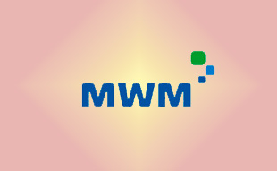 ✓ MWM 0337 5377 Запчасть MWM 